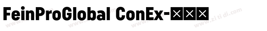 FeinProGlobal ConEx字体转换